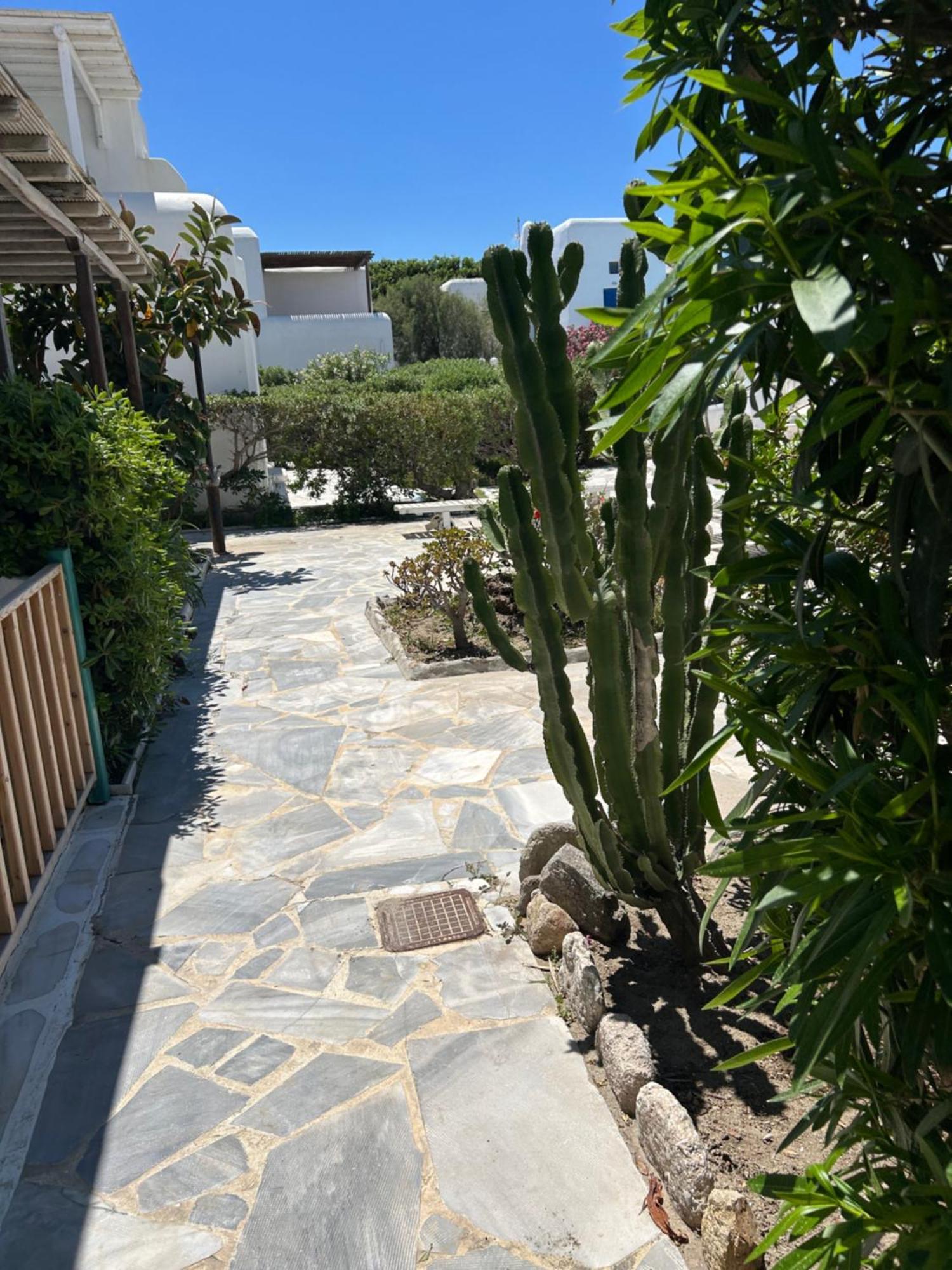 Luxury House With Swimming Pool In Ornos Mykonosヴィラ エクステリア 写真